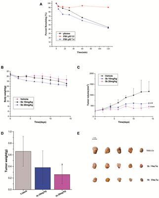 Discovery of highly potent and selective 7-ethyl-10-hydroxycamptothecin-glucose conjugates as potential anti-colorectal cancer agents